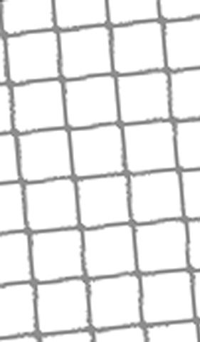 netz